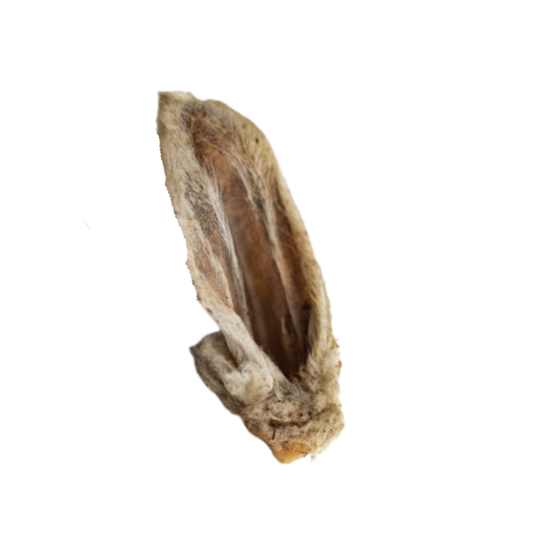 Oreille d'agneau avec poils à l'unité