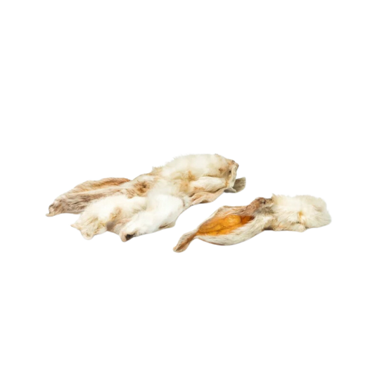 Oreilles de lapin avec poils à l'unité