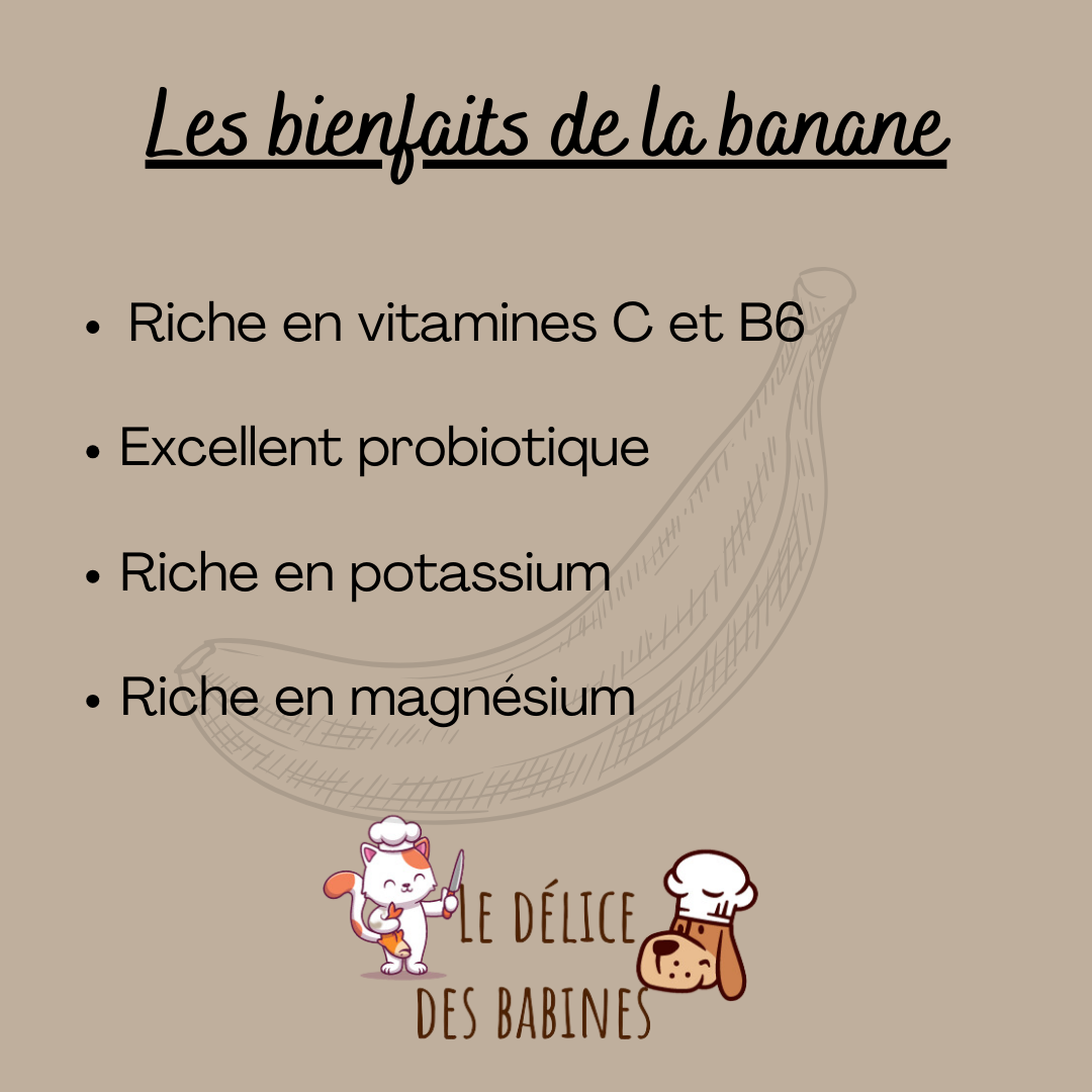 Banane déshydratée
