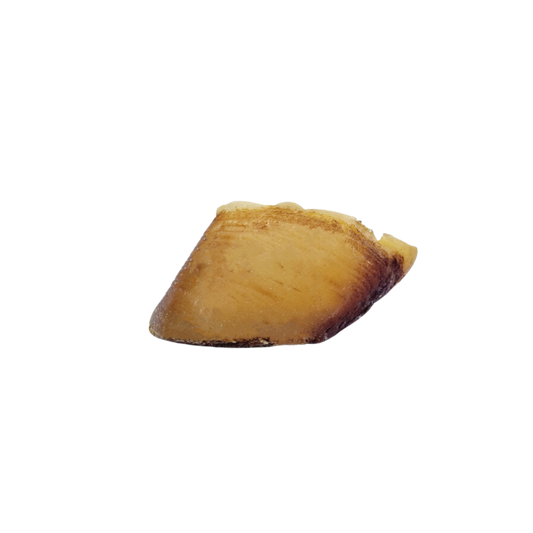 Sabot de bœuf à l'unité