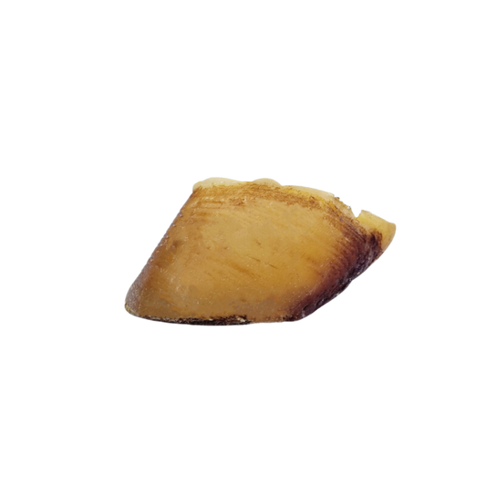 Sabot de veau à l'unité