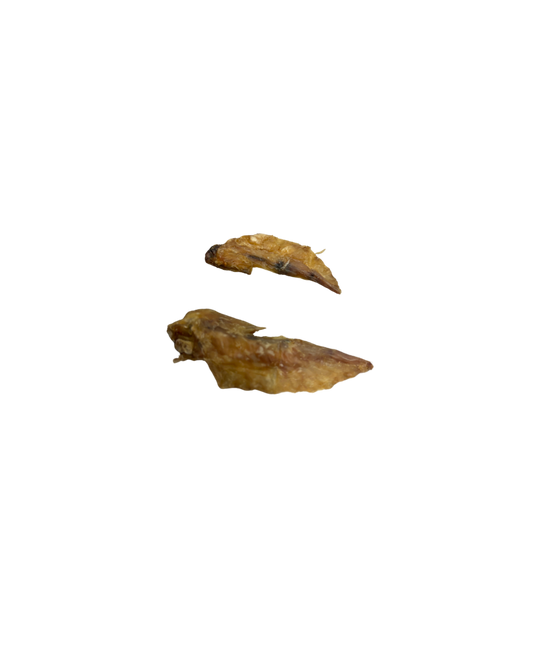 Ailes de poulet